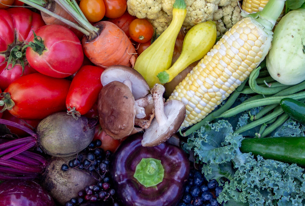 The Vermont Farm to Table Experience: A Culinary Journey Rooted in Sustainability